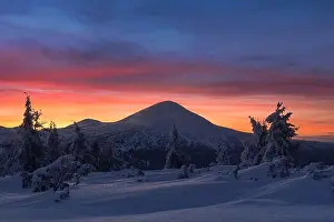 Fantastic winter landscape in snowy mountains glowing by morning sunlight. Dramatic wintry scene with frozen snowy trees at sunrise