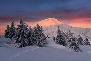 Fantastic winter landscape in snowy mountains glowing by morning sunlight. Dramatic wintry scene with frozen snowy trees at sunrise
