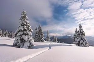 Fantastic winter landscape with snowy trees. Carpathian mountains, Ukraine, Europe. Christmas holiday concept