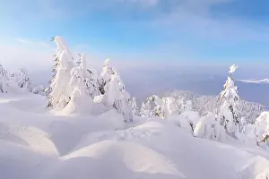 Fantastic winter landscape with snowy trees. Carpathian mountains, Ukraine, Europe. Christmas holiday concept