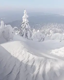 Fantastic winter landscape with snowy trees. Carpathian mountains, Ukraine, Europe. Christmas holiday concept