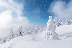 Fantastic winter landscape with snowy trees. Carpathian mountains, Ukraine, Europe. Christmas holiday concept