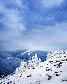 January Collection: Fantastic winter landscape with snowy trees. Carpathian mountains, Ukraine, Europe