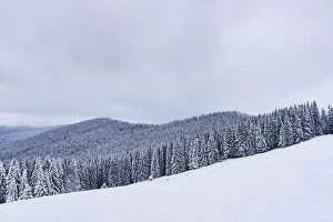 Images Dated 6th December 2017: Fantastic winter landscape with snowy trees. Carpathian mountains, Ukraine, Europe