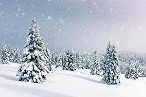 Fantastic winter landscape with snowy trees. Carpathian mountains, Ukraine, Europe. Christmas holiday background. Landscape photography