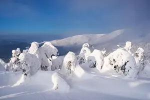 Fantastic winter landscape with snowy trees. Carpathian mountains, Ukraine, Europe. Christmas holiday background. Landscape photography