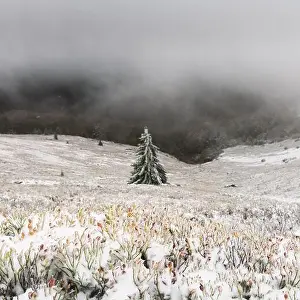Fantastic winter landscape with snowy trees. Carpathian mountains, Ukraine, Europe. Christmas holiday background. Landscape photography
