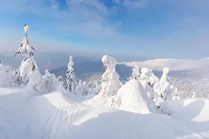 Fantastic winter landscape with snowy trees and blue sky. Carpathian mountains, Ukraine, Europe. Christmas holiday concept