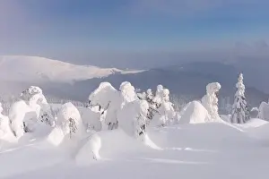Fantastic winter landscape with snowy trees and blue sky. Carpathian mountains, Ukraine, Europe. Christmas holiday concept