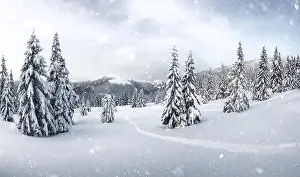 Fantastic winter landscape with snowy trees in high mountains. DOF bokeh light postprocessing effect. Christmas holiday collage