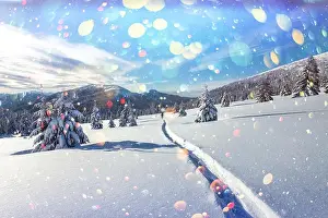 Fantastic winter landscape with snowy trees in high mountains. DOF bokeh light postprocessing effect. Christmas holiday collage