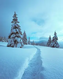 Fantastic winter landscape with snowy trees and snowy peaks. Carpathian mountains, Ukraine. Christmas holiday background. Landscape photography