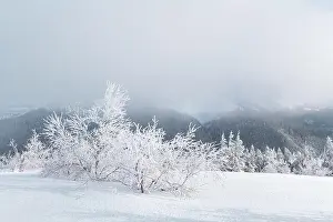Fantastic winter landscape with snowy trees and snowy peaks. Carpathian mountains, Ukraine. Christmas holiday background. Landscape photography