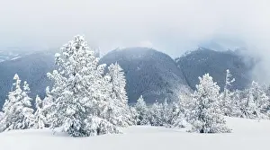 Fantastic winter landscape with snowy trees and snowy peaks. Carpathian mountains, Ukraine. Christmas holiday background. Landscape photography