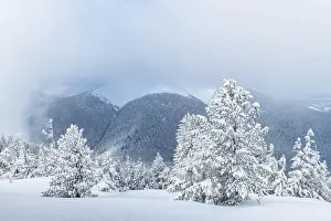 Fantastic winter landscape with snowy trees and snowy peaks. Carpathian mountains, Ukraine. Christmas holiday background. Landscape photography