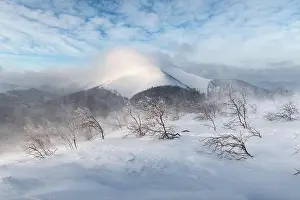 Fantastic winter landscape with snowy trees and snowy peaks during snowstorm. Carpathian mountains, Ukraine. Christmas holiday background