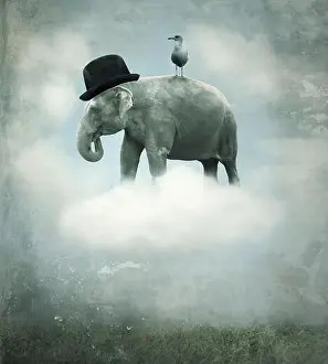 Poetic Prints: Fantasy surrealistic background with an elephant with a hat and a gull that flying on a cloud in the sky