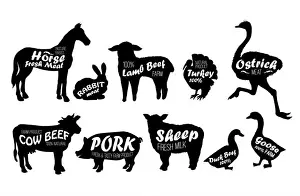 Goose Prints: Farm animals logo vintage textured templates