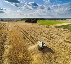 Drone Landscape Prints: Farmer harvest wheat using combine harvester in Lithuania