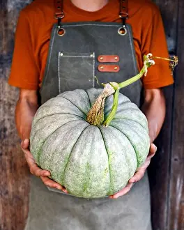 Thanksgiving Prints: Farmer with large green pumpkin on his hands close up