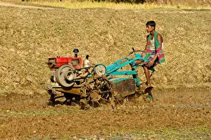 Bangladesh Prints: Farmer ploughs a land with tractor at Egarosindur. Kishoreganj, Bangladesh