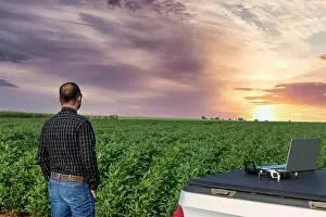 Inspect Prints: Farmer standing in soybean field looking at notebook and drone