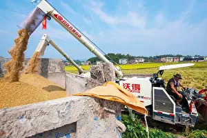 Farmers conduct sun-drying in Liangping district