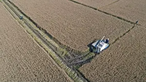 Overhead View Prints: Farmers drive harvesters to harvest rice in North China