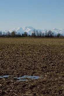 Po Valley Prints: Farming landscape with the wonderful Alps mountains in the background in northern Italy just outside Milan