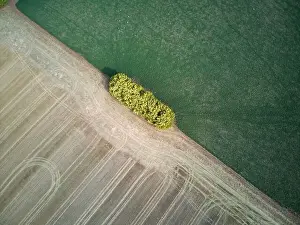 Grass And Sky Prints: Farmland aerial view different fields showing agricultural crop patterns and tracks with a green and brown background