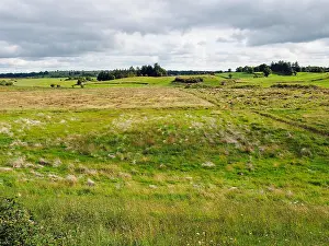 Heathland Prints: Farmland bog and heathland in norther County Galway near Dunmore