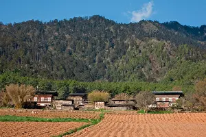 Bhutan Prints: Farms in the fertile Phobjikha Valley