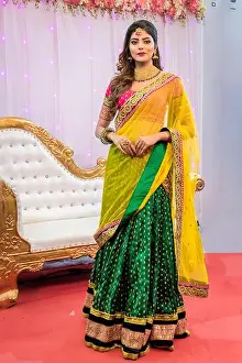 Saree Prints: Fashion portrait of Beautiful Indian female model in a traditional indian saree wearing gold jewellery