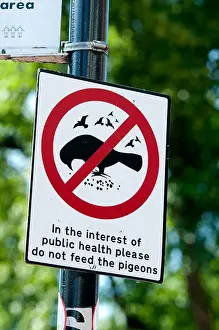 Public Health Prints: Do not feed the pigeons sign, Sutton Coldfield, UK