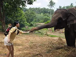 Getaway Prints: Feeding the Elephant