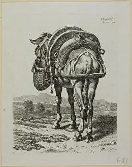 1800 Prints: Feeding Mule, Rear, from Die Zweite Thierfolge