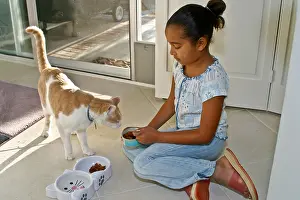 Interact Prints: Feeding pet cat 6-8 year old African-American girl feeding a cat