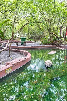 Hot Spring Prints: Felda Hot Spring at Sg Klah, Perak, Malaysia