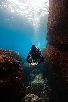 Underwater Scene Prints: A female diver glides through a narrow underwater canyon