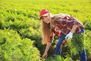 Agronomist Prints: Female farmer working in field