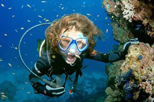 Undersea Prints: Female scuba diver and Cleanerfish (Labroides dimidiatus) Red sea, Egypt, Africa