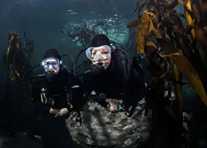 Dive Site Prints: Two female scuba divers underwater swimming together in the kelp forest