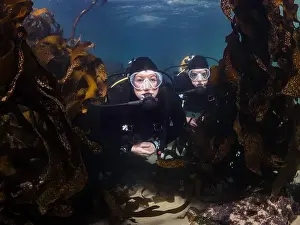 Dive Site Prints: Two female scuba divers underwater swimming together in the kelp forest