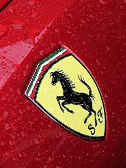 Ferrari Prints: Ferrari yellow shield Badge with the Prancing horse and SJ Scuderia