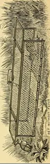 Bookdecade1890 Prints: Ferrets : their management in health and disease with remarks on their legal status