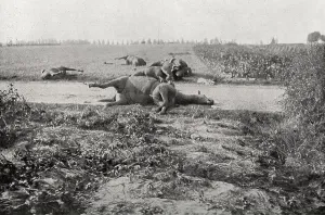 Remain Prints: In the field of battle Haelen in Belgium