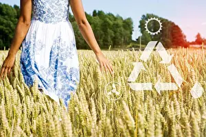 Feel Prints: A field of corn, Sweden. with digital symbols
