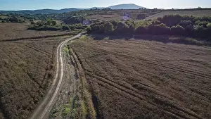 Bulgarian Nature Prints: Fields near the village of Ravadinovo
