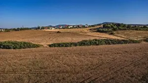 Bulgarian Nature Prints: Fields near the village of Ravadinovo