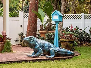 Grand Cayman Prints: Figure of Blue iguana (Cyclura lewisi)